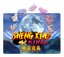 Sheng Xiao Bingo